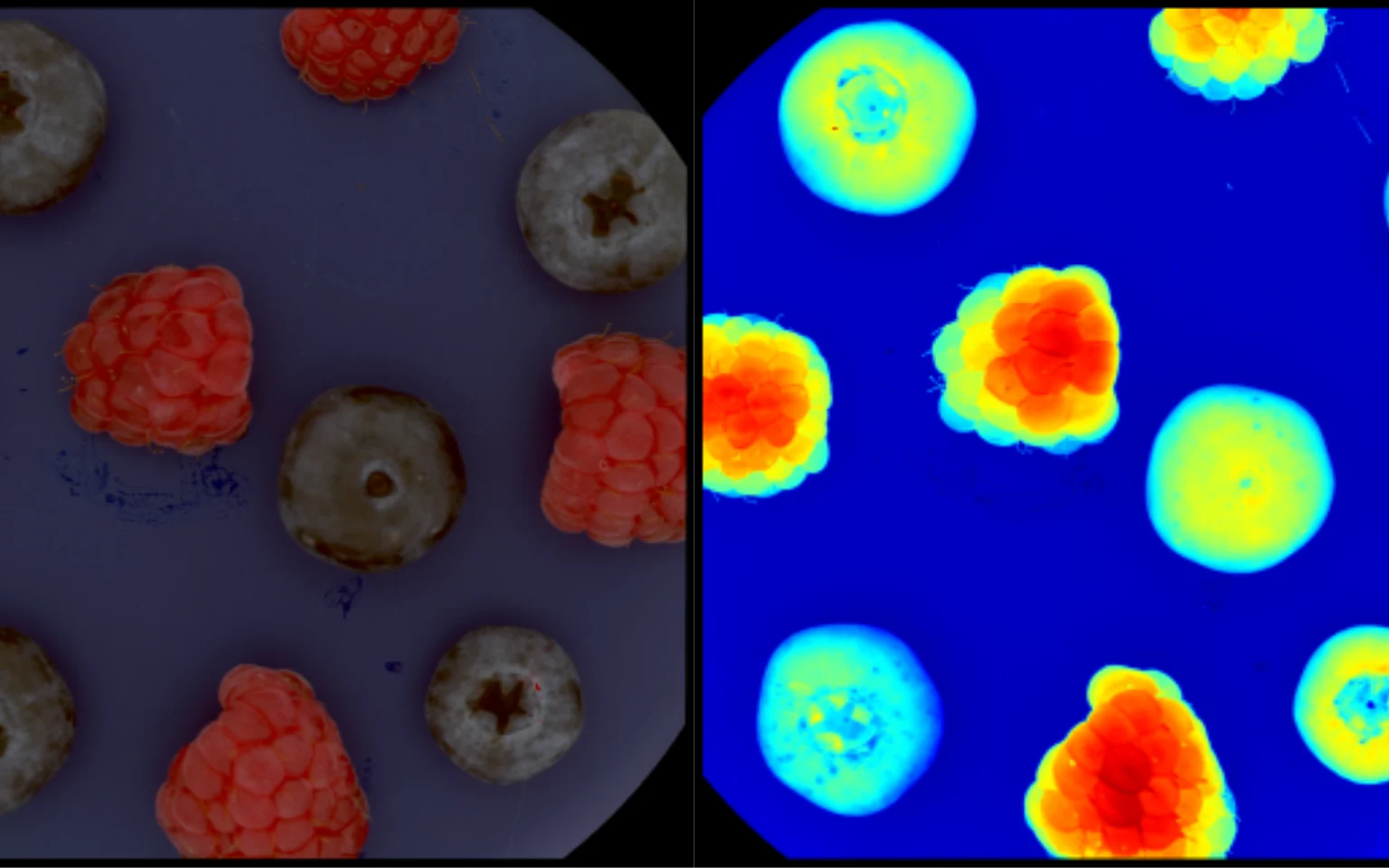 Frutas em placa: imagem convencional ao lado do mapa espectral em falsa cor
