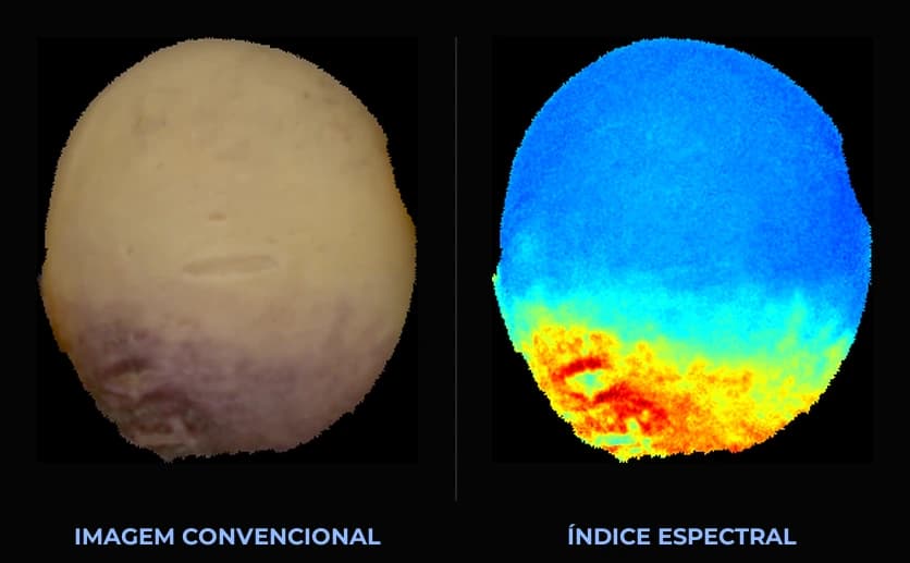 Grão de soja avariado em imagem convencional e em índice espectral