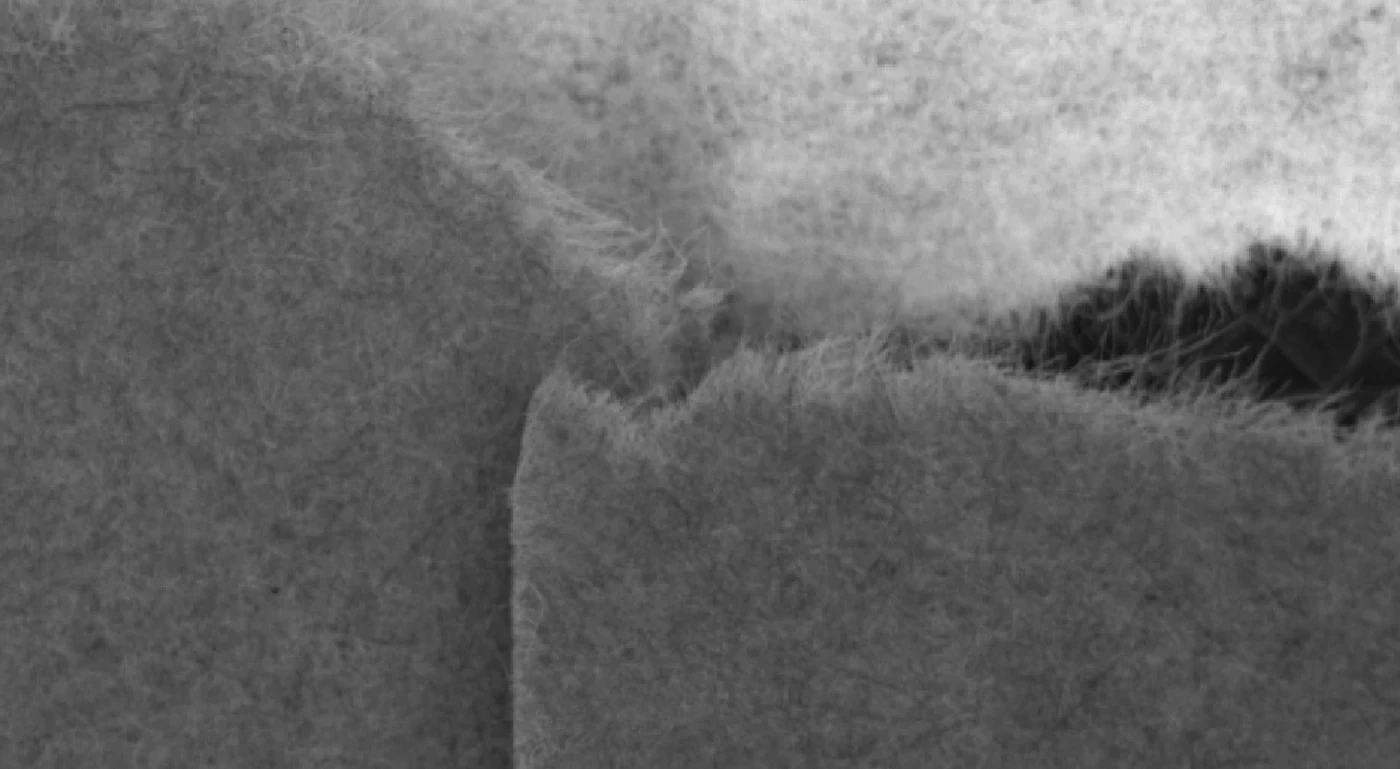 Ampliação em 550 nm da junção entre duas metades de papel marrom e o papel branco, com fibras soltas visíveis ao longo das bordas rasgadas