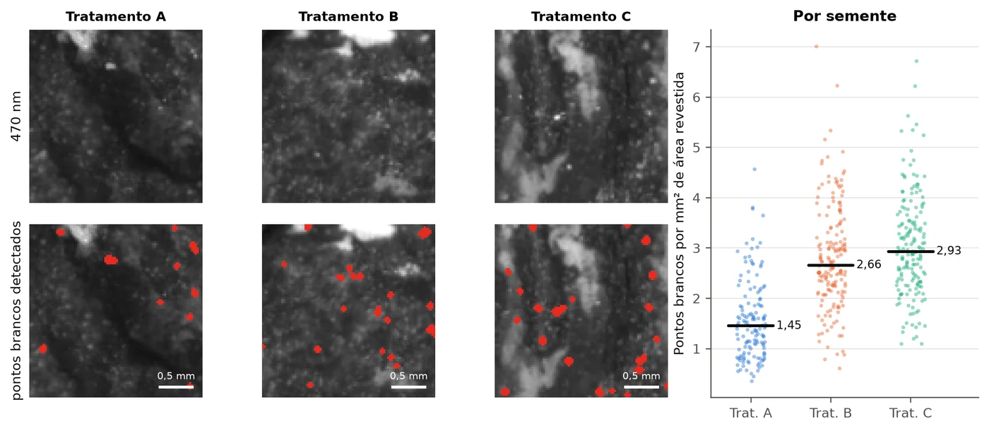 Recortes da superfície revestida em 470 nm para os três tratamentos, com os pontos brancos detectados marcados em vermelho, e gráfico de pontos por milímetro quadrado por semente, com medianas de 1,45, 2,66 e 2,93