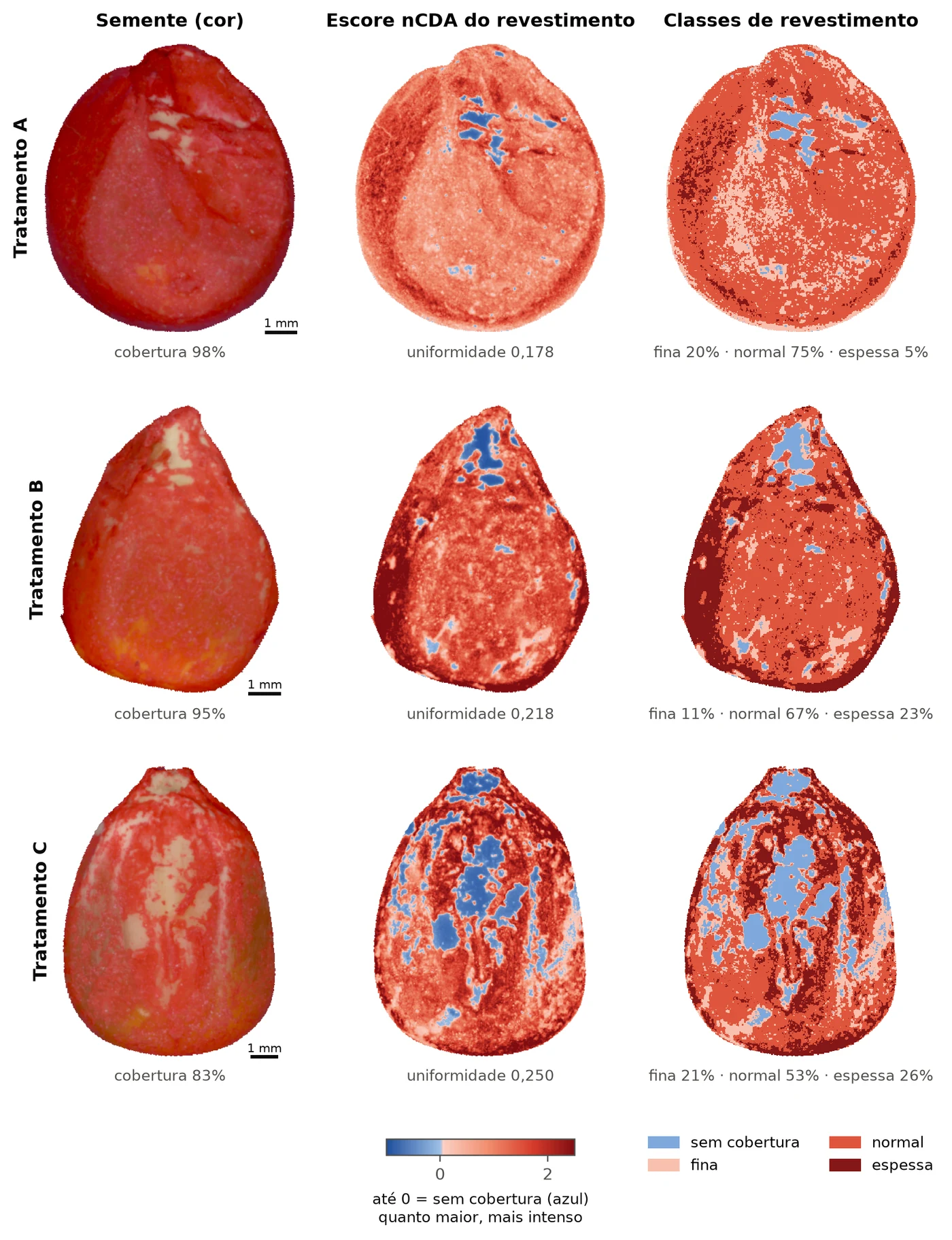Uma semente típica de cada tratamento em três colunas: imagem em cor, mapa nCDA em vermelho com falhas de cobertura em azul, e mapa de classes de revestimento. A semente do Tratamento C tem grandes manchas azuis no centro da face
