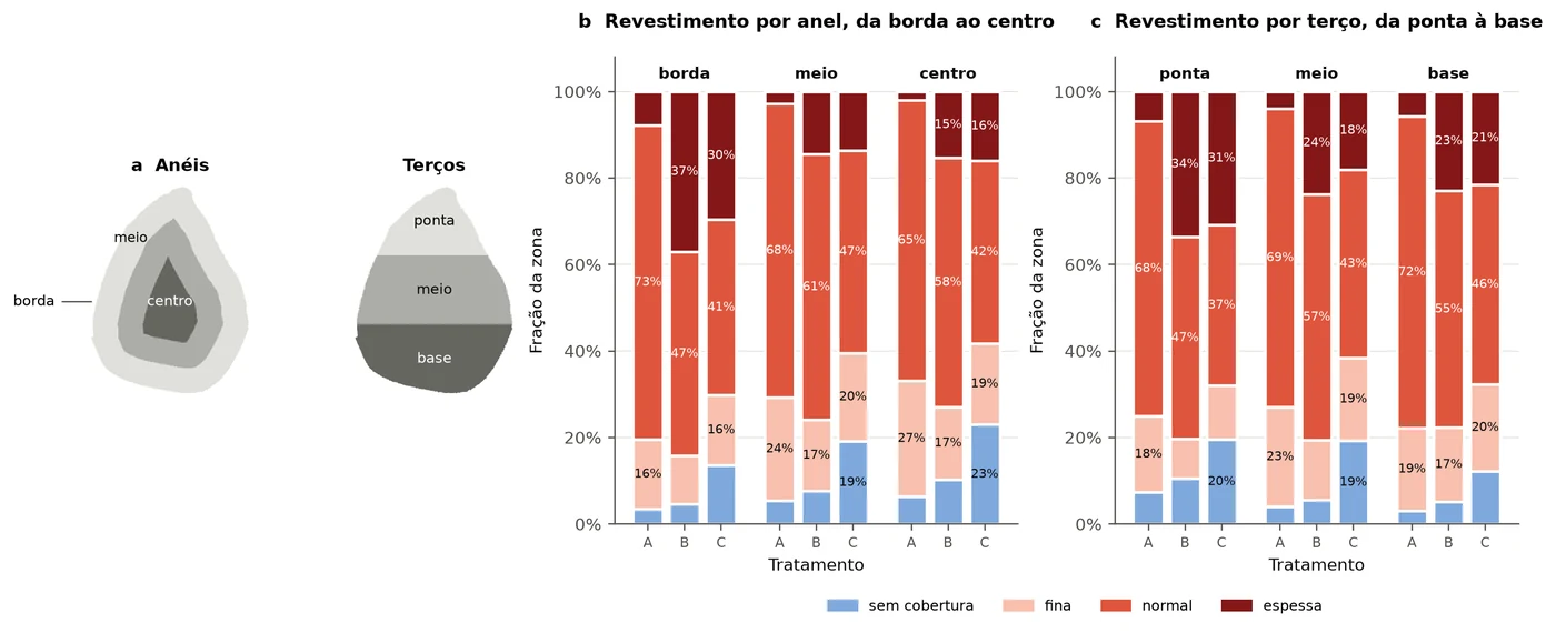 Diagrama das zonas da semente em anéis e terços, e barras empilhadas com a fração de cada zona sem cobertura e com revestimento fino, normal e espesso para os três tratamentos